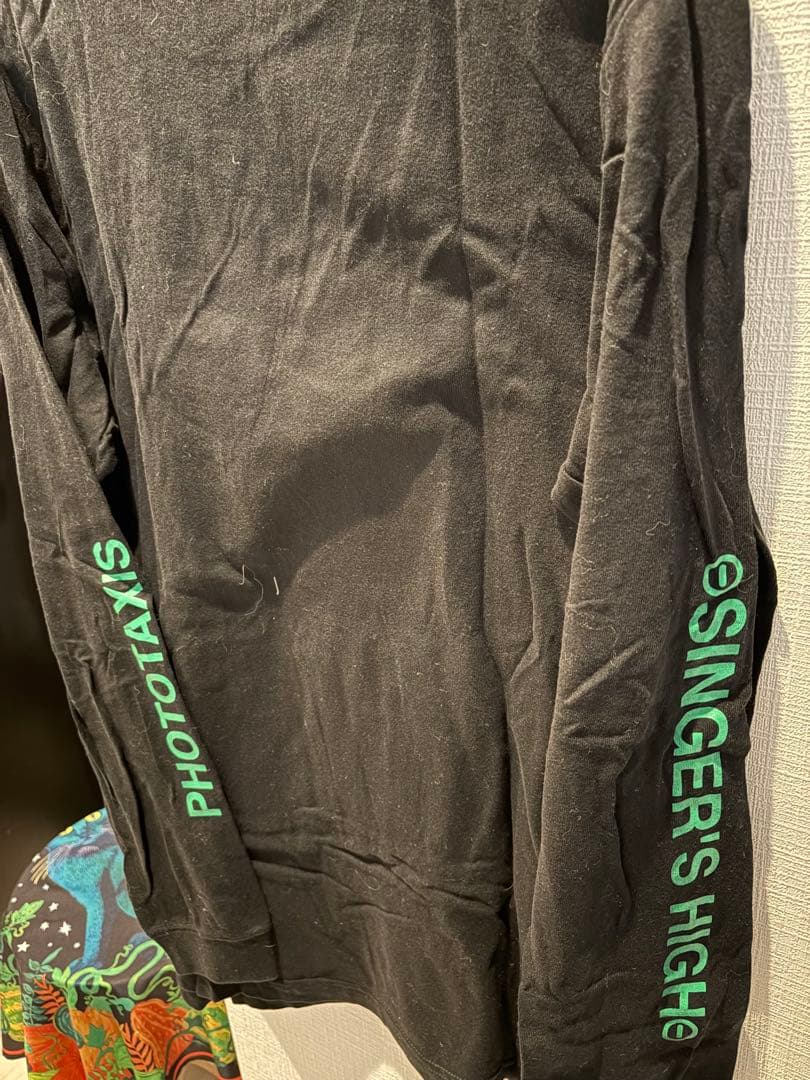 シンガーズハイ　活動初期　走光性　ロンT