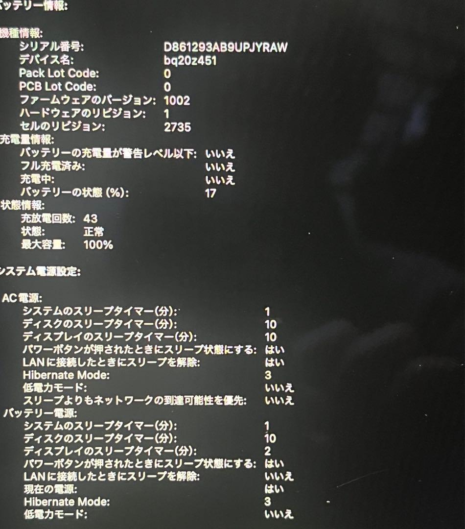 Apple MacBook Air 13 M1 充電回数43 容量100%