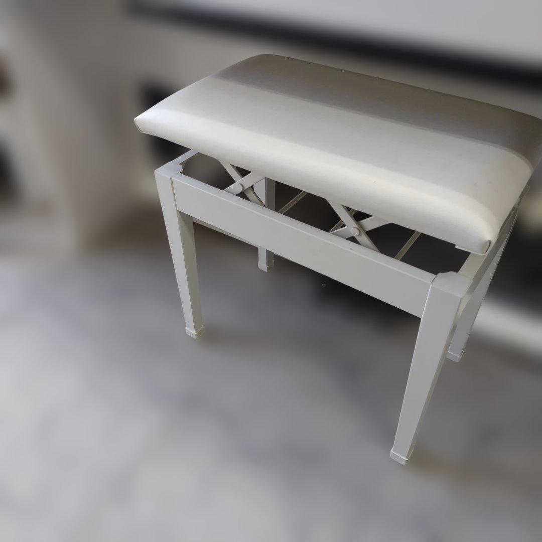 【関東配送相談可能】PX-770WE CASIO