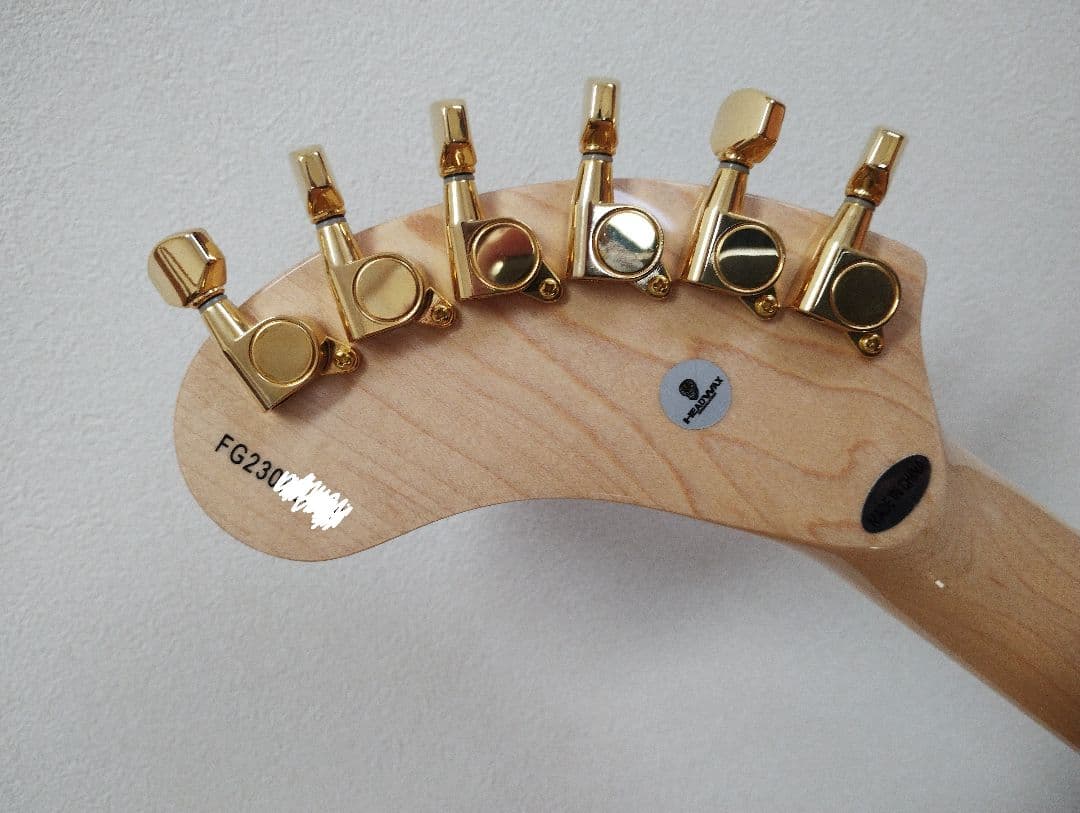 新品未使用 FERNANDES ZO-3 hideモデル PAINT-ZO24