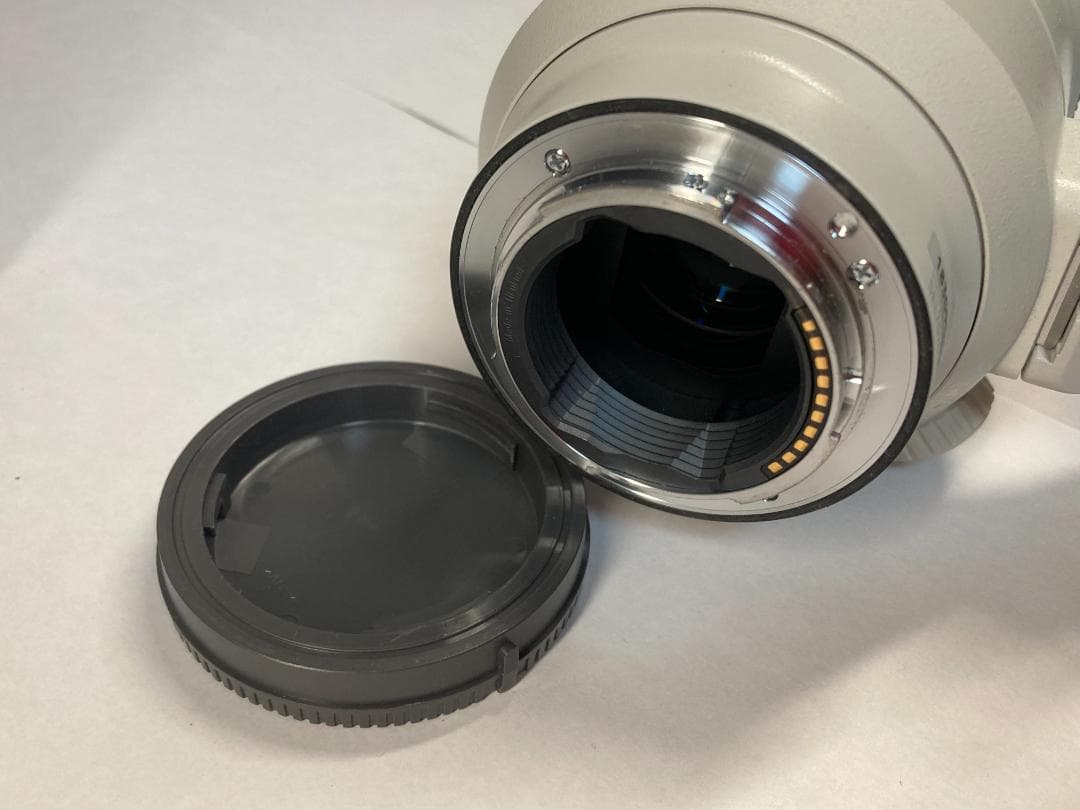 SONY FE 70-200mm F2.8 GM OSS 保護フィルター付 美品