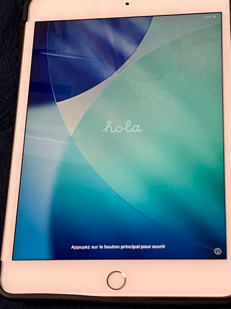 Apple iPad mini (第5世代) 64GB