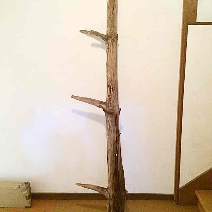 《プライスDown！》流木