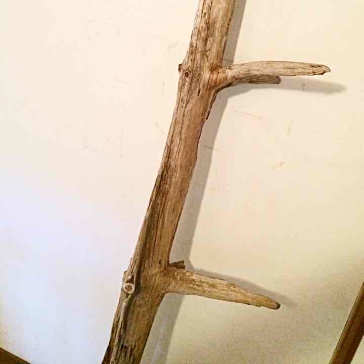 《プライスDown！》流木