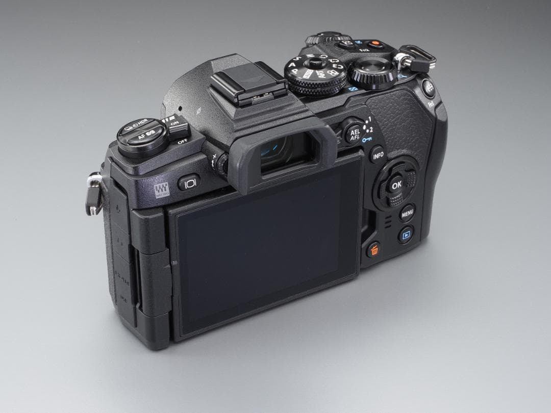 OLYMPUS OM-D E-M1 Mark II 本体とグリップ付き美品