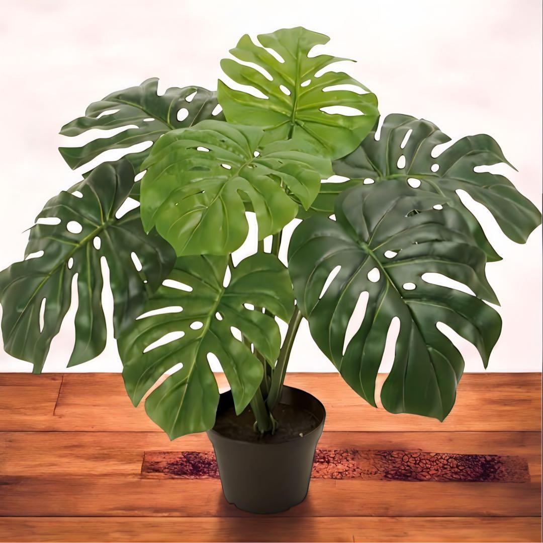 光触媒　人工観葉植物　ウォールグリーン　フェイクグリーン　東京モンステラ