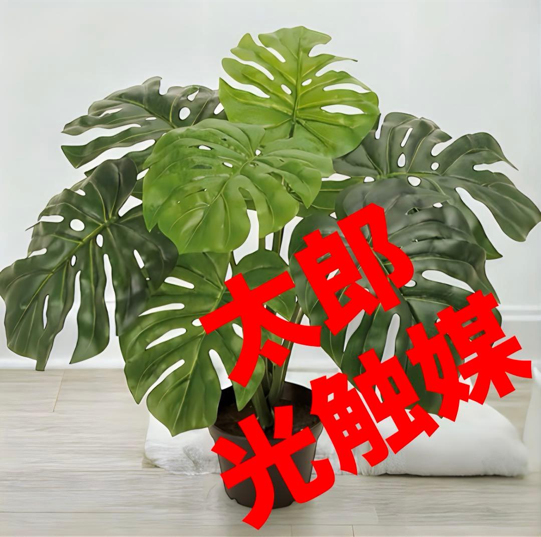 光触媒　人工観葉植物　ウォールグリーン　フェイクグリーン　東京モンステラ