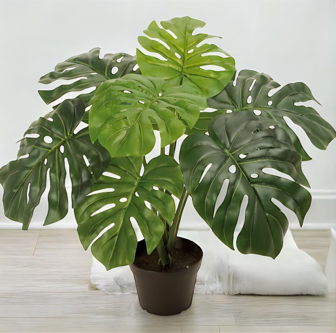 光触媒　人工観葉植物　ウォールグリーン　フェイクグリーン　東京モンステラ