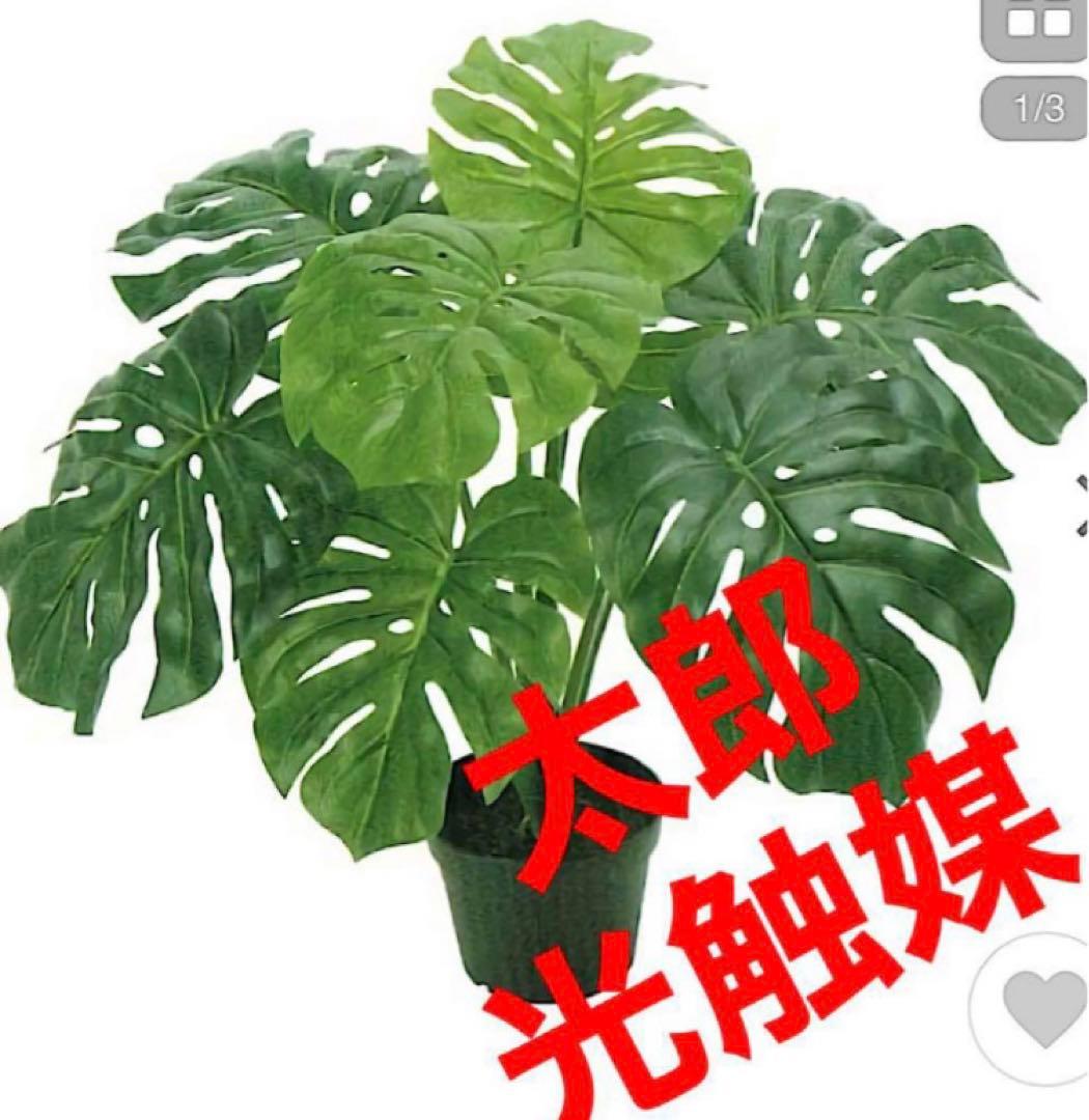 光触媒　人工観葉植物　ウォールグリーン　フェイクグリーン　東京モンステラ