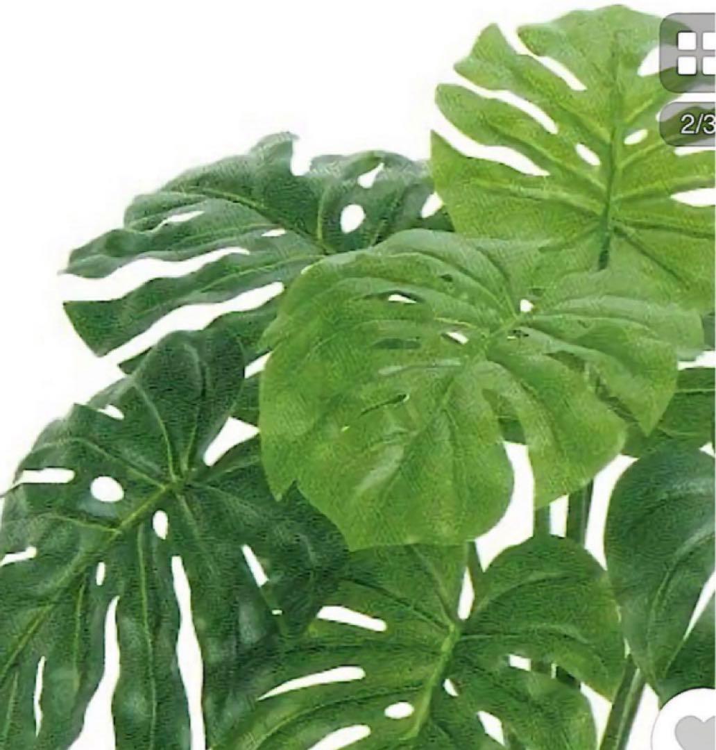 光触媒　人工観葉植物　ウォールグリーン　フェイクグリーン　東京モンステラ