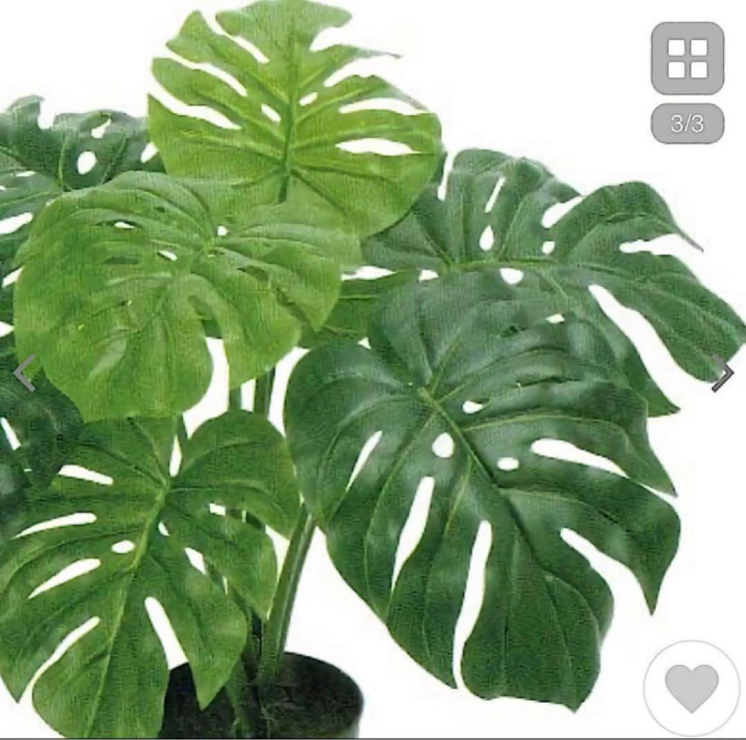 光触媒　人工観葉植物　ウォールグリーン　フェイクグリーン　東京モンステラ