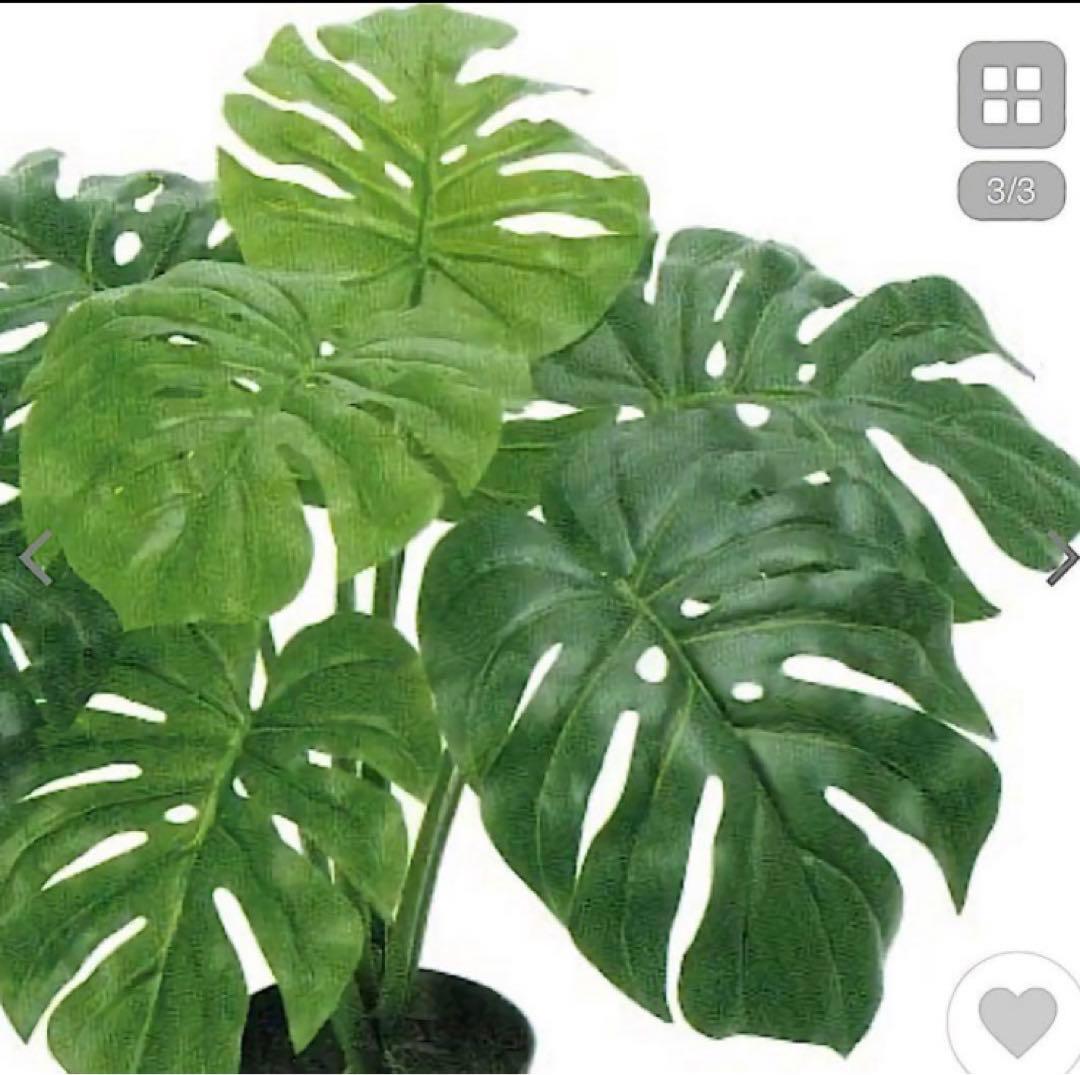 光触媒　人工観葉植物　ウォールグリーン　フェイクグリーン　東京モンステラ