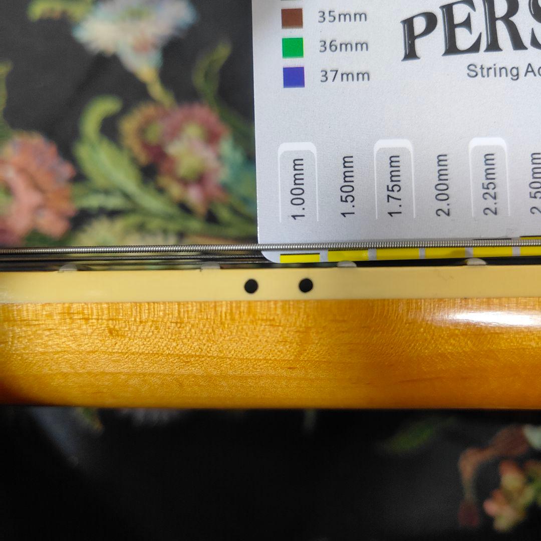 B.C.Rich Mocking Bird モッキンバード RSB 雲インレイ