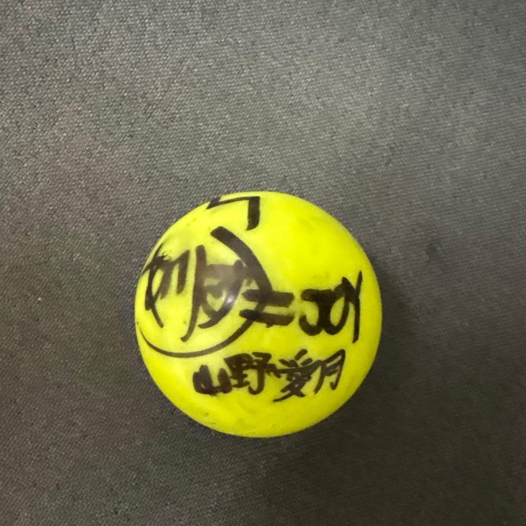 山野愛月　サインボール