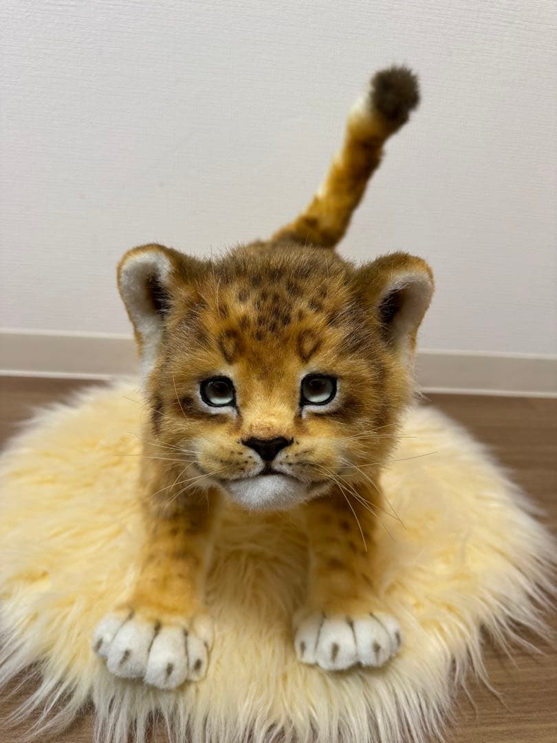 【最終価格】海外作家様作　アートドール　ライオンの子供