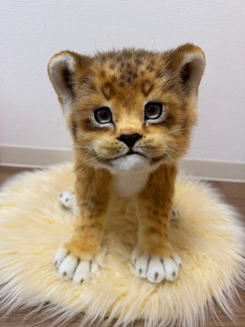 【最終価格】海外作家様作　アートドール　ライオンの子供