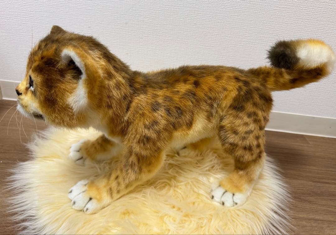 【最終価格】海外作家様作　アートドール　ライオンの子供