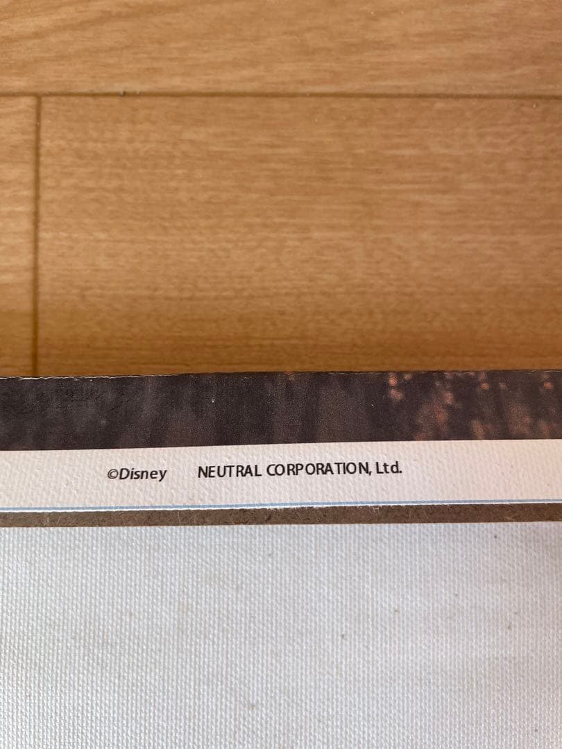 2枚　美女と野獣 Disney 絵 ベル × ポスター 日本製 ディズニー