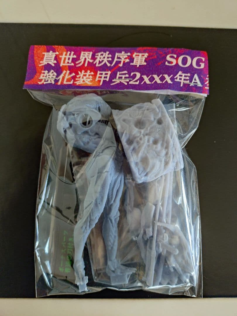 太平天国 上級戦闘員 強化装甲兵 ガレージキット 3D出力 1/20