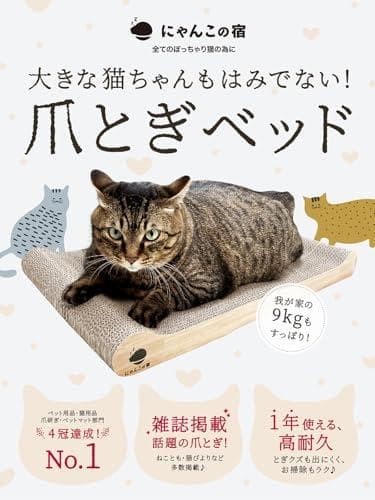 【とぎかすゼロ 1年使える高耐久】 猫 爪研ぎ ぽっちゃり猫OK 獣医師監修 p