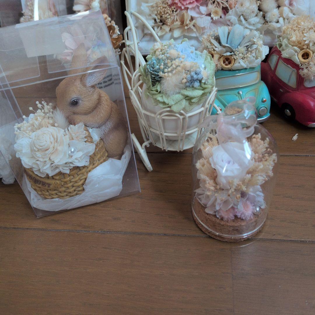 ドライフラワー17点セット