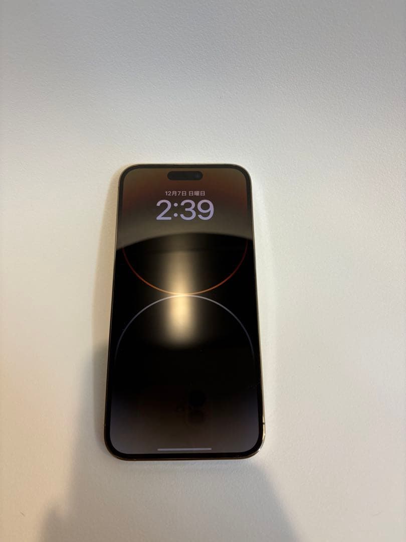 Apple iPhone 14 Pro Max 6.1インチ本体