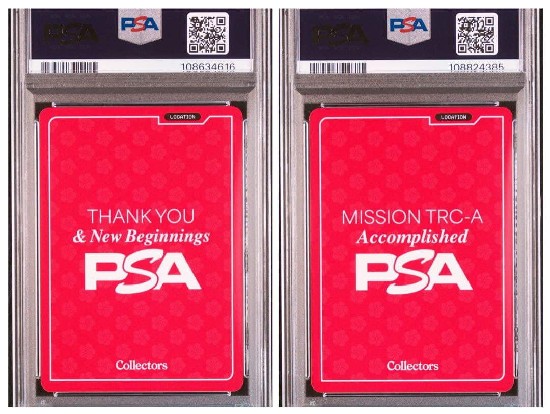 【希少】【PSA10】PSA JAPAN ポップカルチャーの交差点 昼/夜