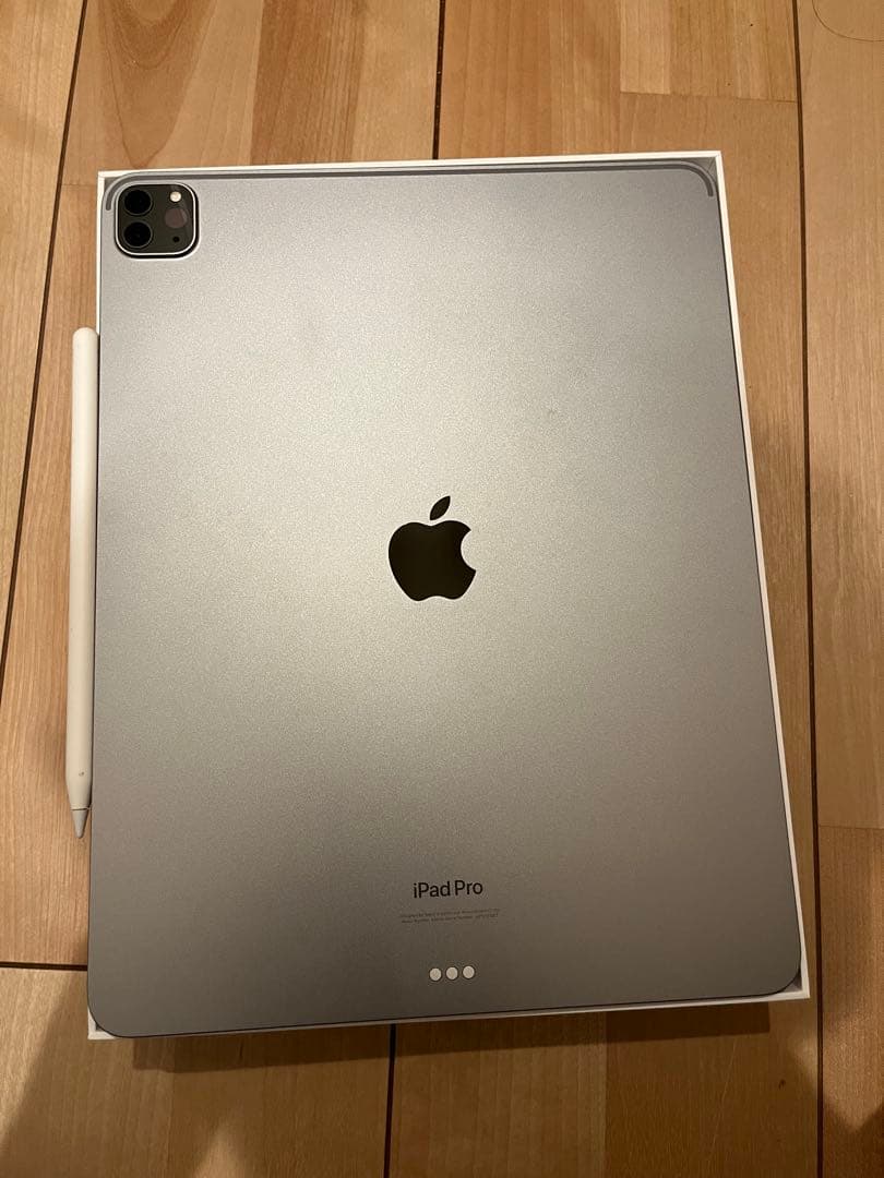 iPad Pro 第5世代　256GB Wi-Fiモデル　アップルペンシル付属