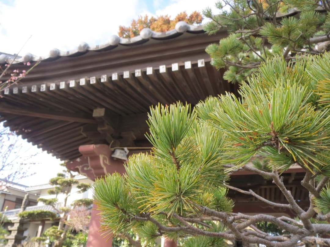 実写美⭕️良品【動作確認済】Canon IXY3　PC1736 デジカメ