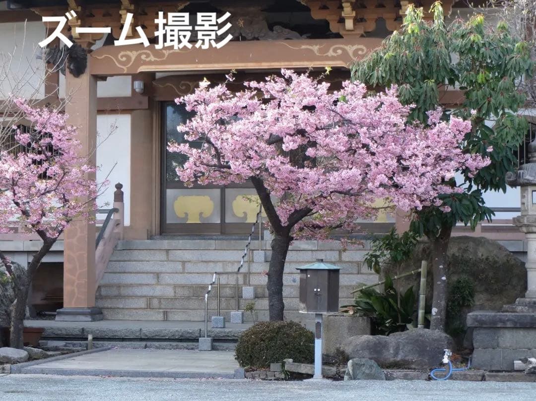 実写美⭕️良品【動作確認済】Canon IXY3　PC1736 デジカメ