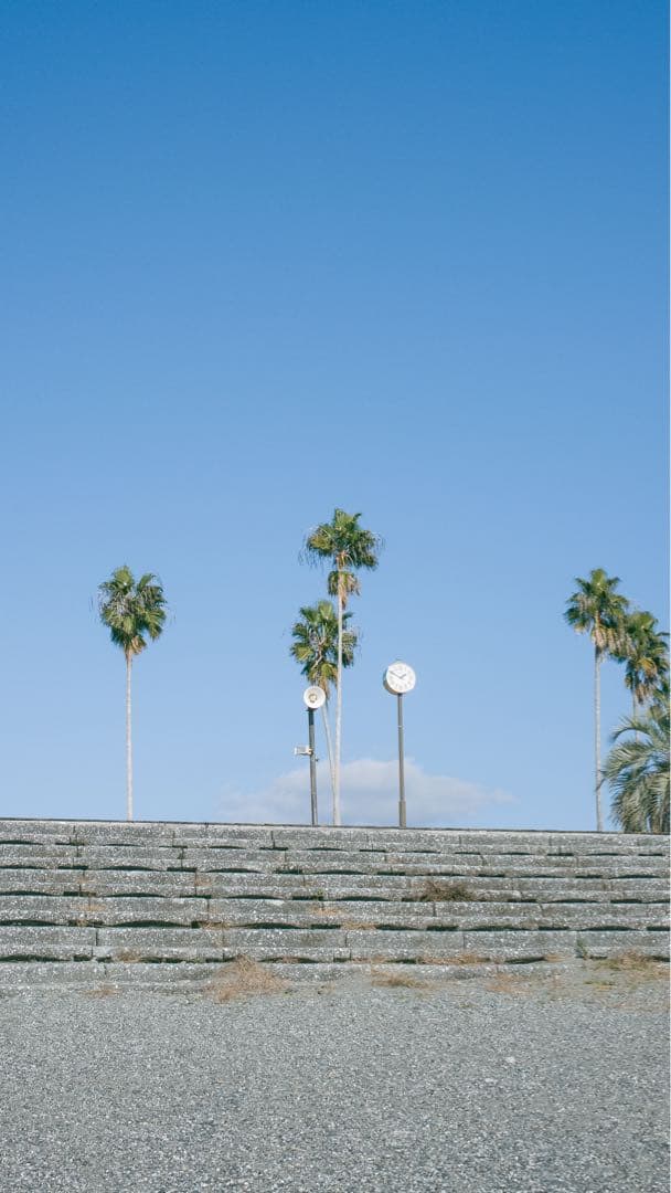 デジタルカメラ RICOH GR LENS A12 50mm F2.5 MACRO