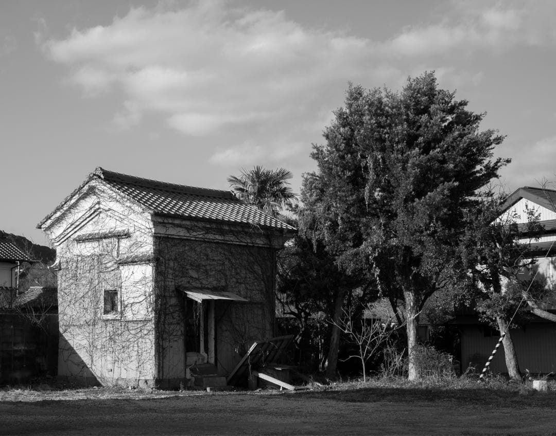 デジタルカメラ RICOH GR LENS A12 50mm F2.5 MACRO