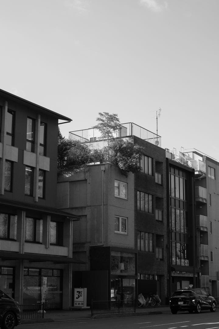 デジタルカメラ RICOH GR LENS A12 50mm F2.5 MACRO