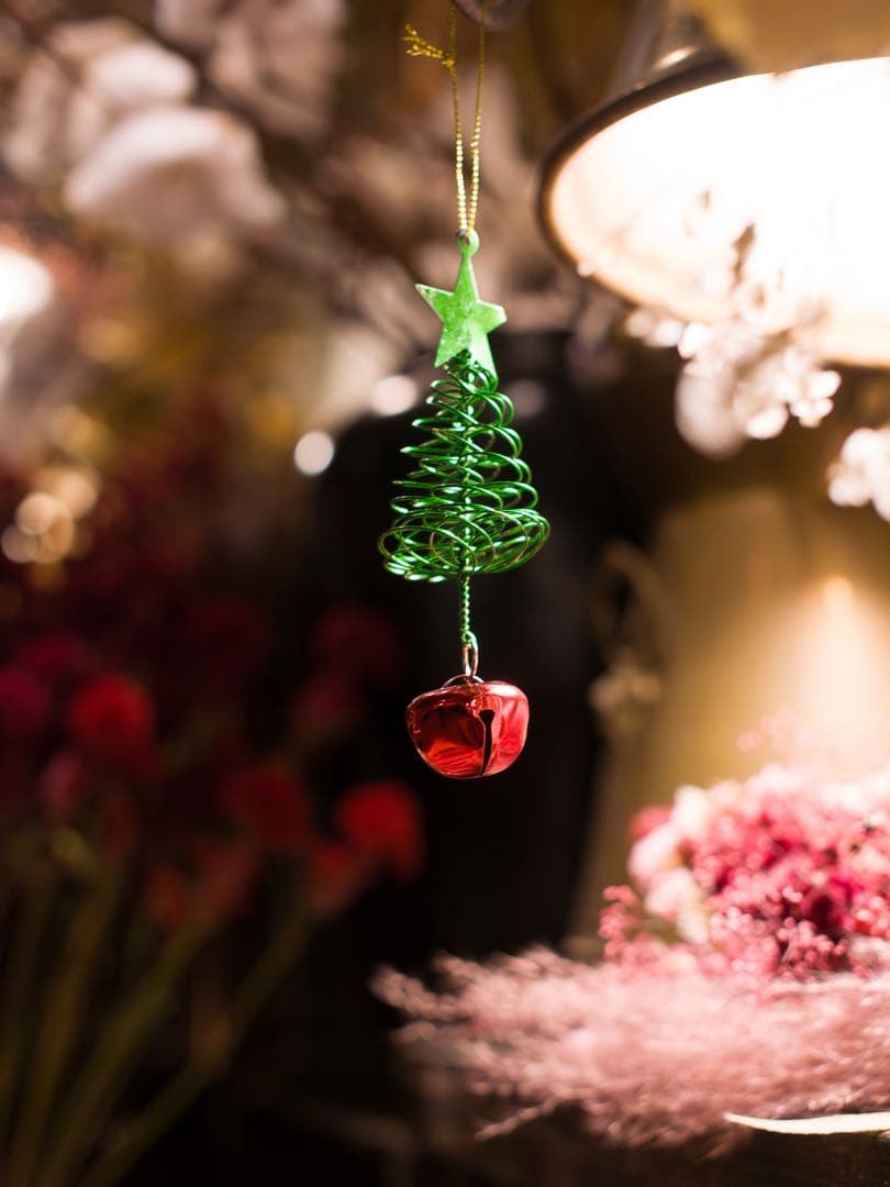 デジタルカメラ RICOH GR LENS A12 50mm F2.5 MACRO