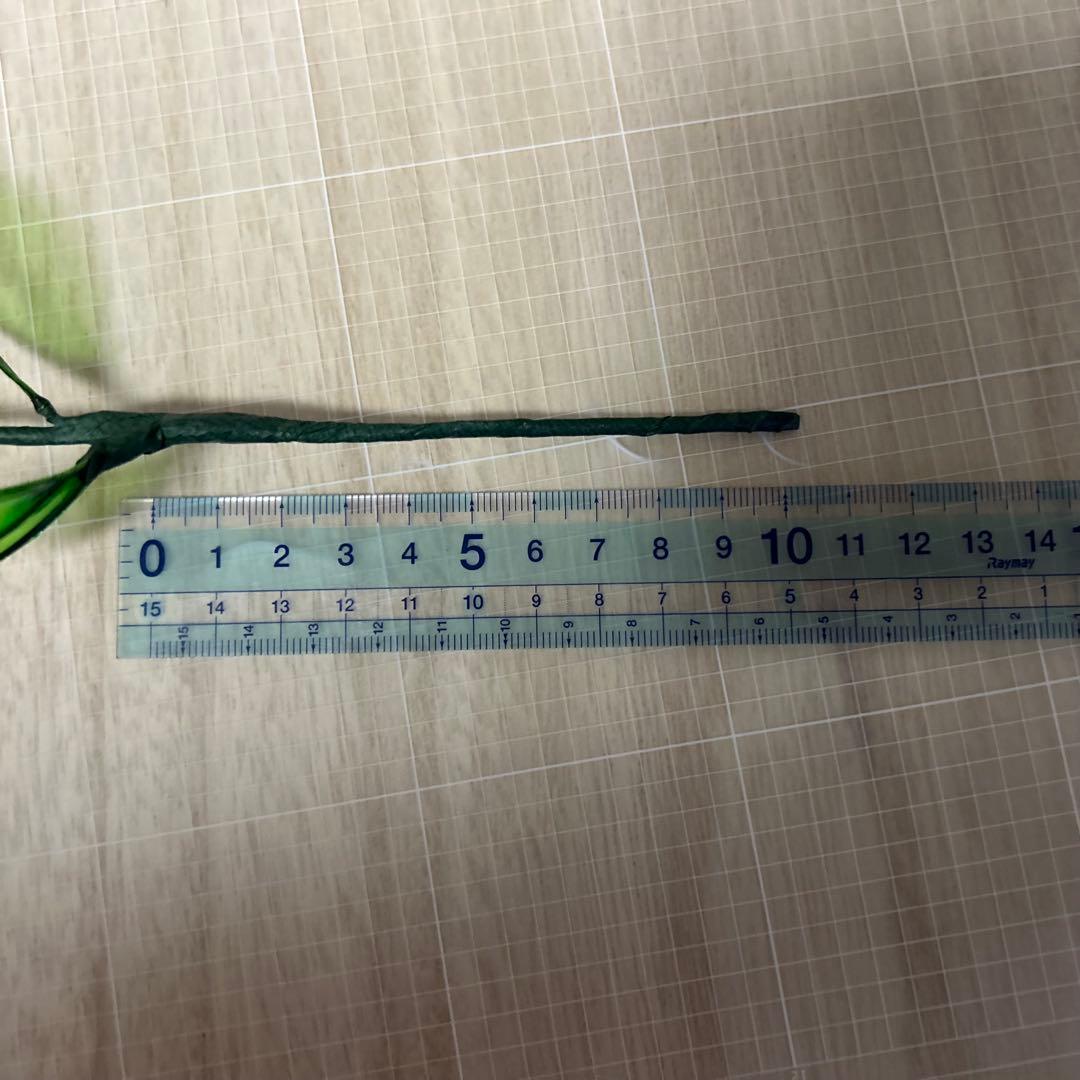 レアちゃん❤️　紫陽花　椿　桜