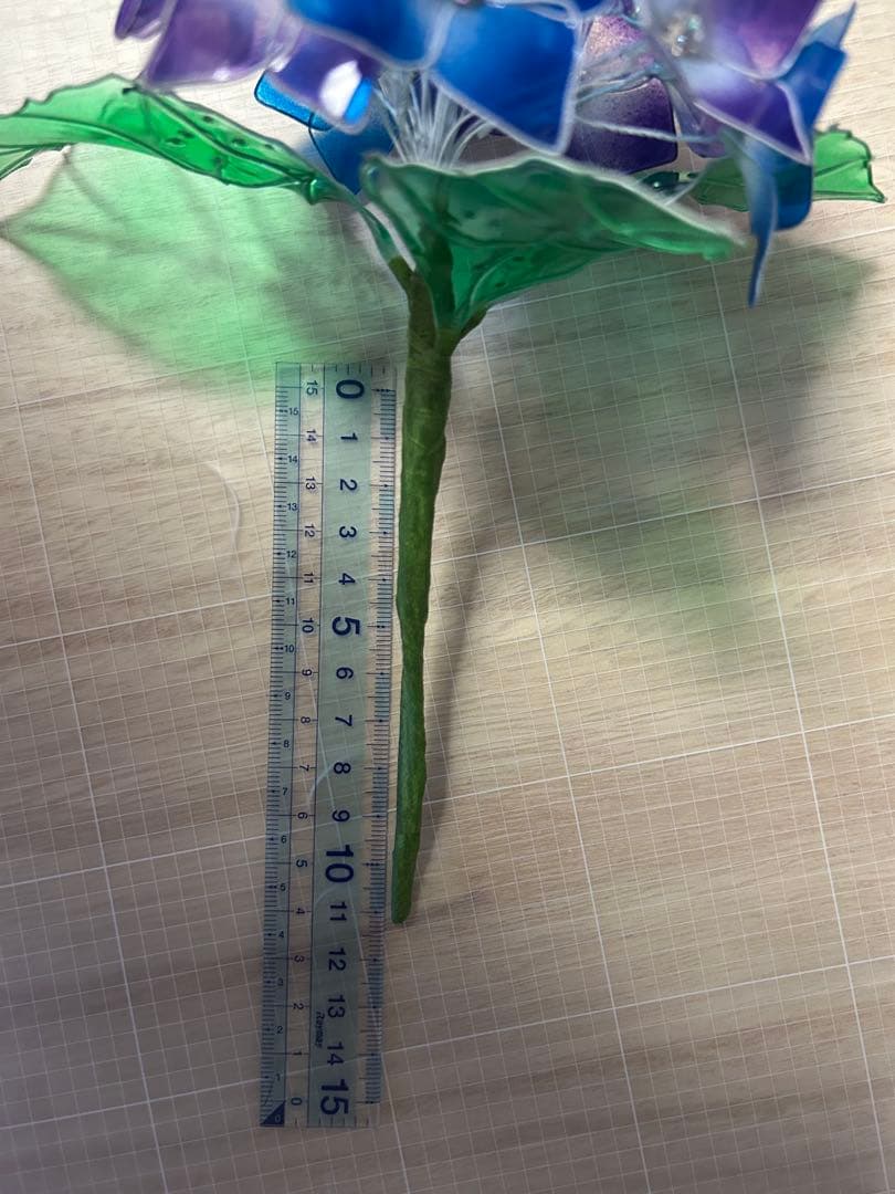 レアちゃん❤️　紫陽花　椿　桜