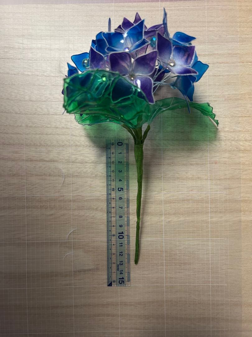 レアちゃん❤️　紫陽花　椿　桜