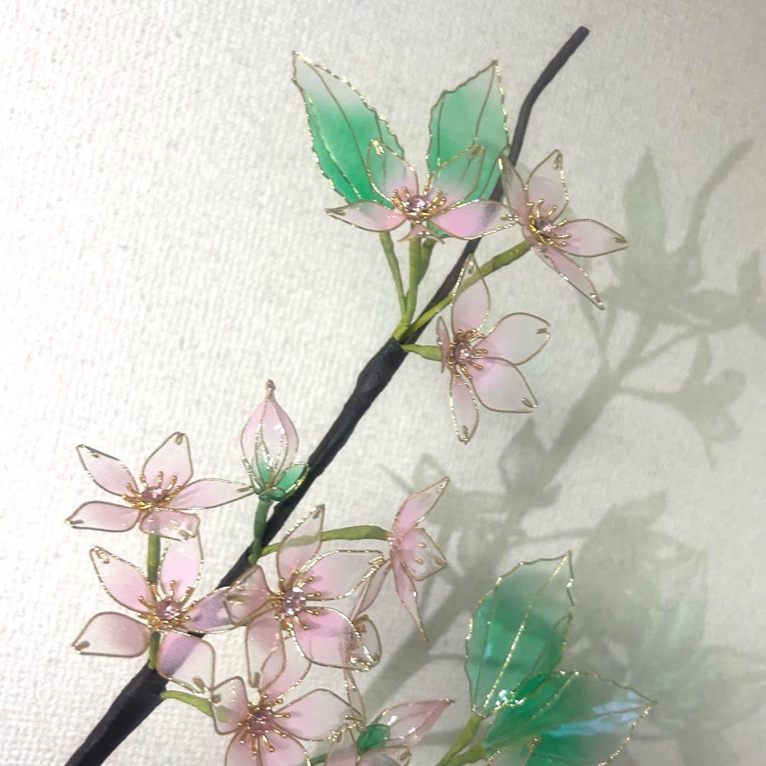 レアちゃん❤️　紫陽花　椿　桜
