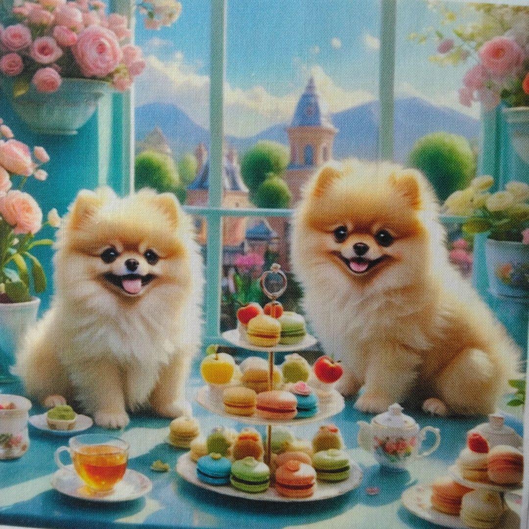 ☆受付☆ポメと柴犬