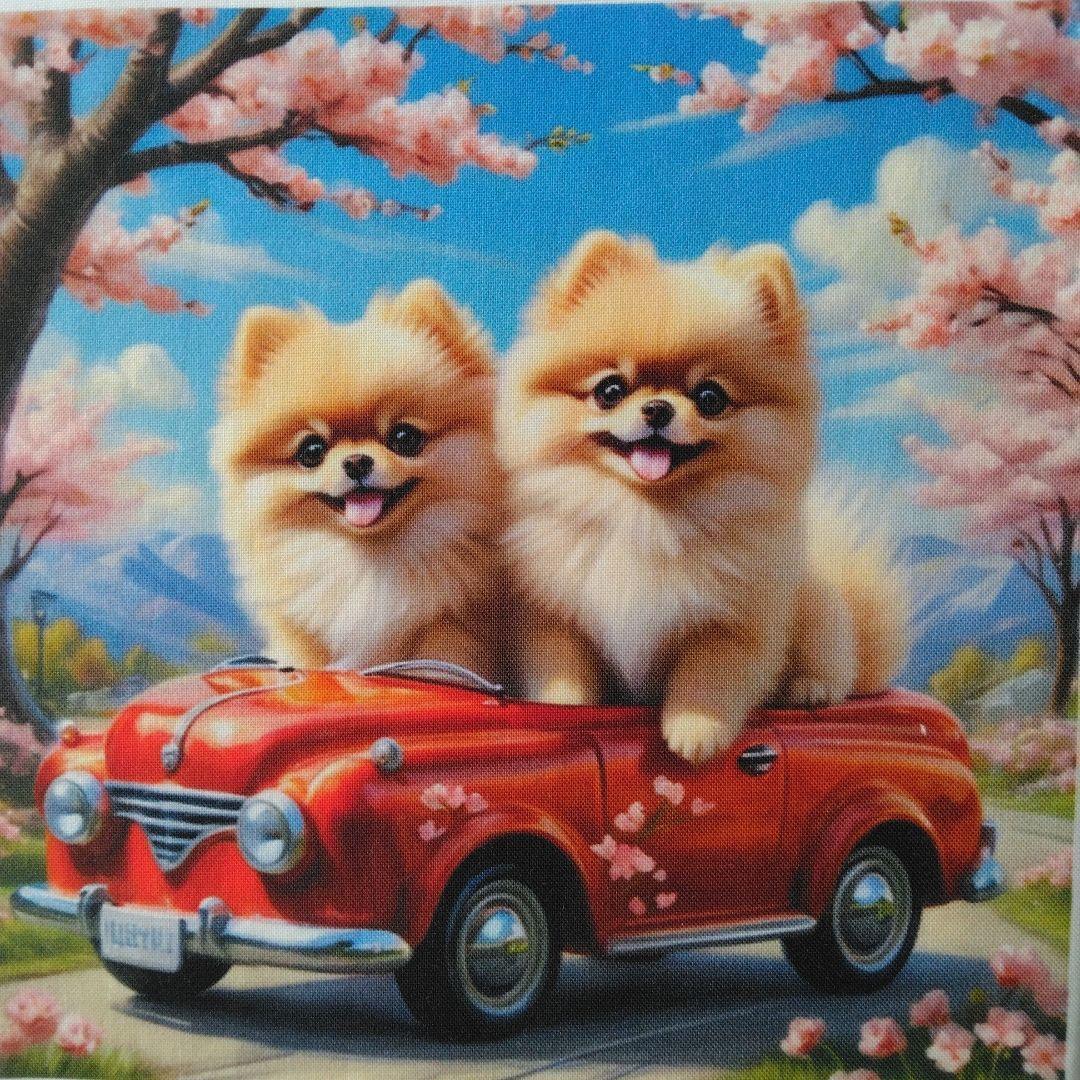 ☆受付☆ポメと柴犬