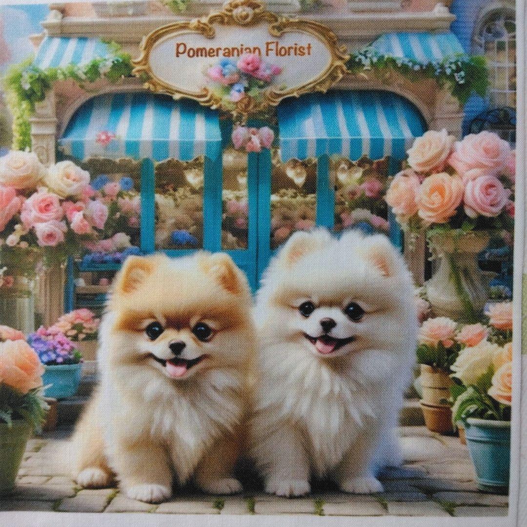 ☆受付☆ポメと柴犬