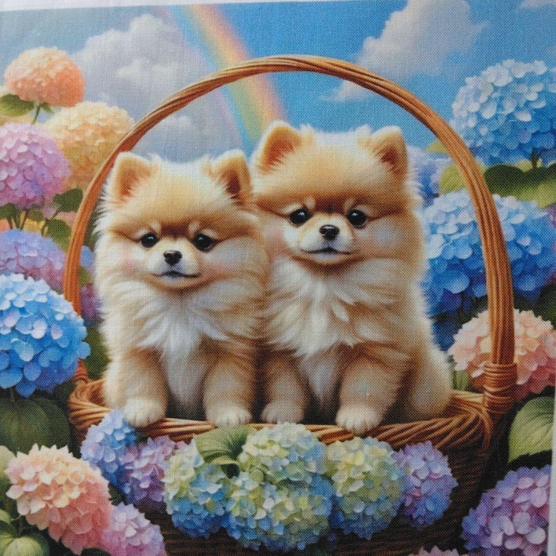 ☆受付☆ポメと柴犬