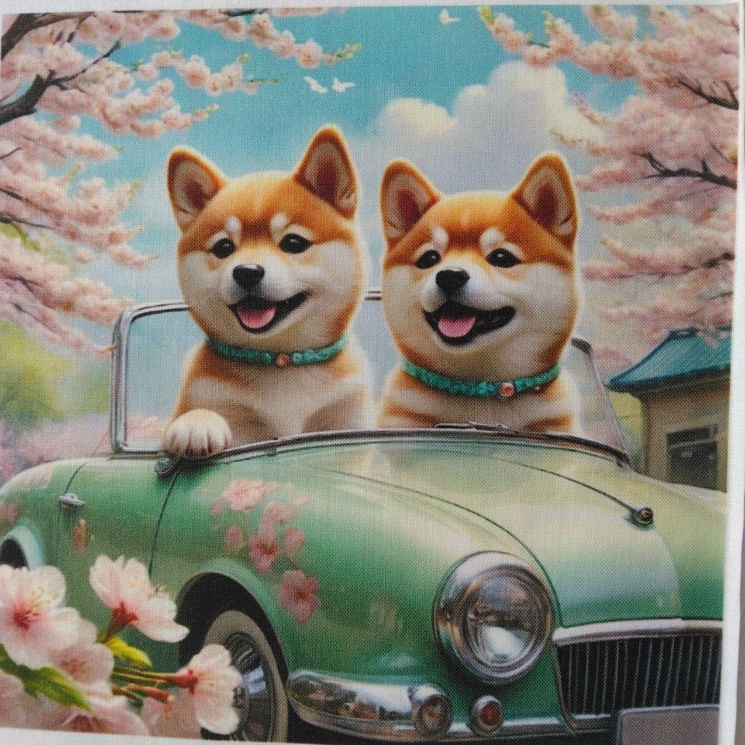 ☆受付☆ポメと柴犬