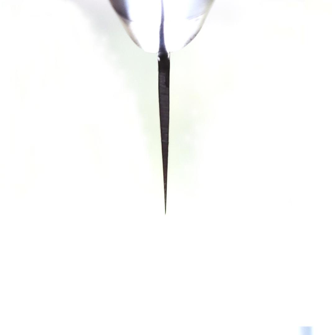 K*i様 日本製 VG10 ダマスカス 牛刀包丁185mm 黒柄 G1753J