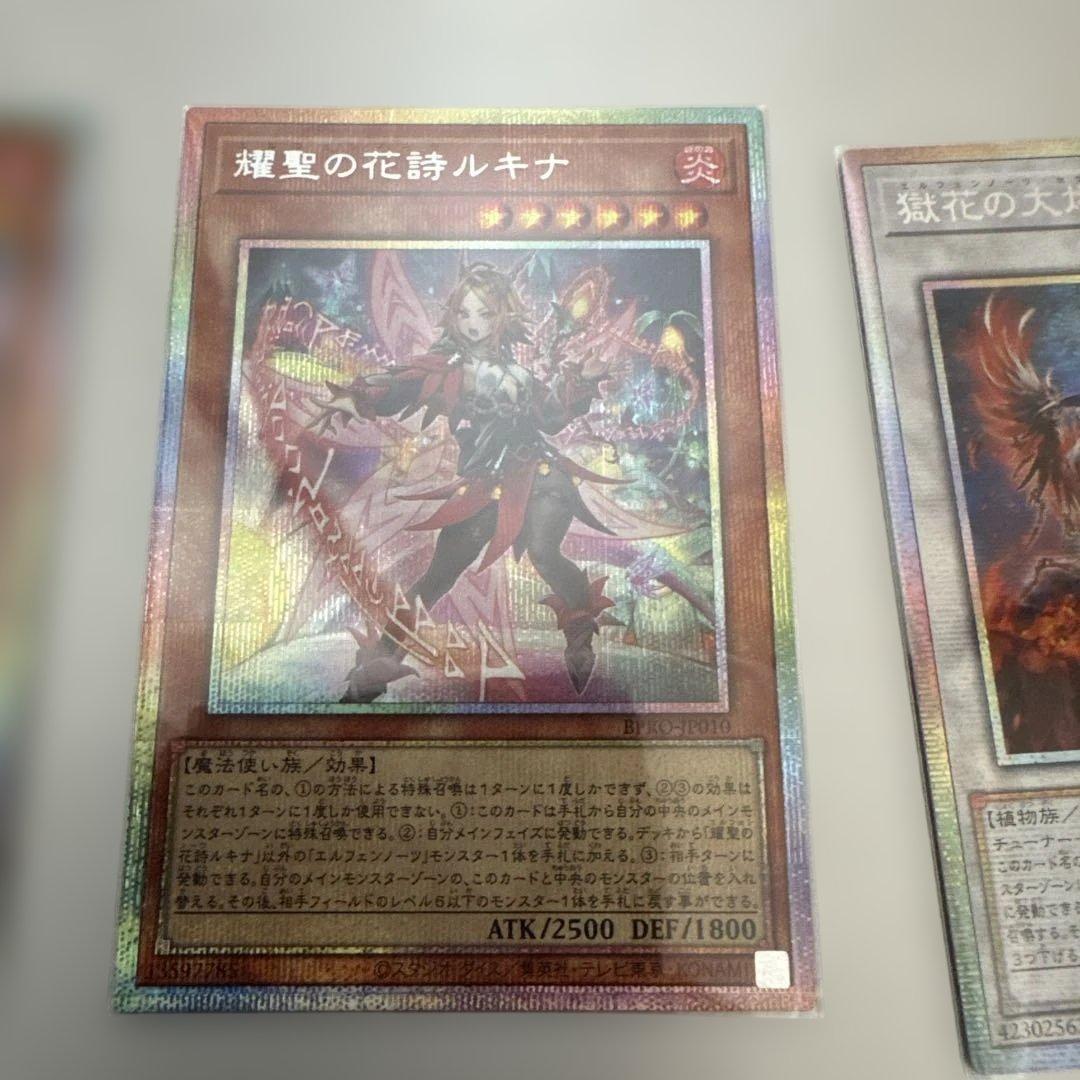 エルフェンノーツセット