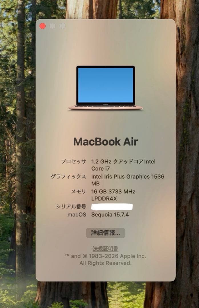 【高スペック】MacBook Air ゴールド13in/i7/16GB/1TB