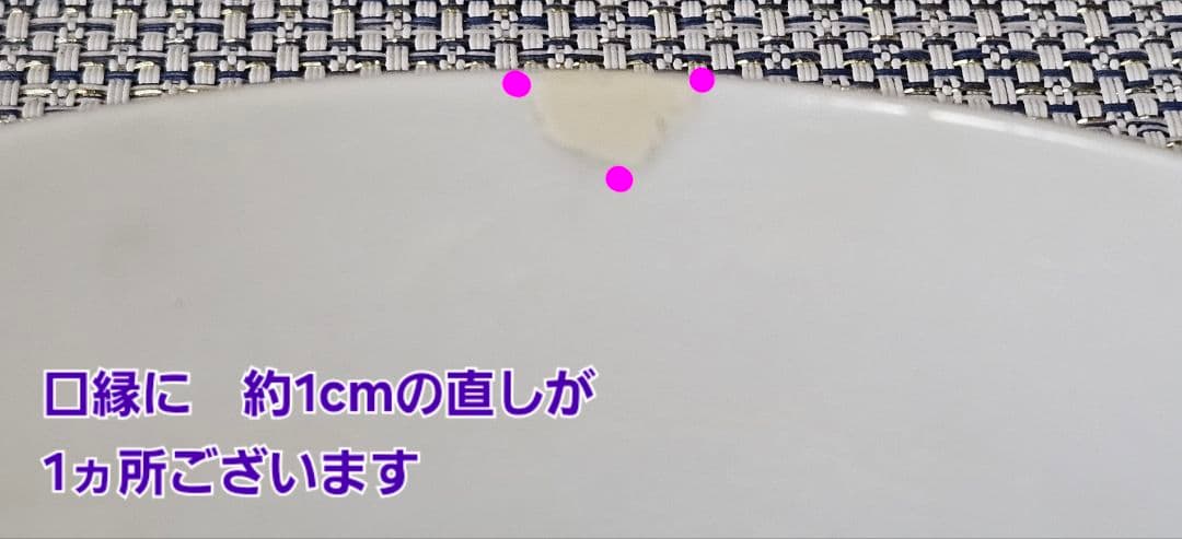 【本物保証❗】江戸時代後期　後期藍鍋島　芙蓉の図　径 約20.8cm　櫛高台皿