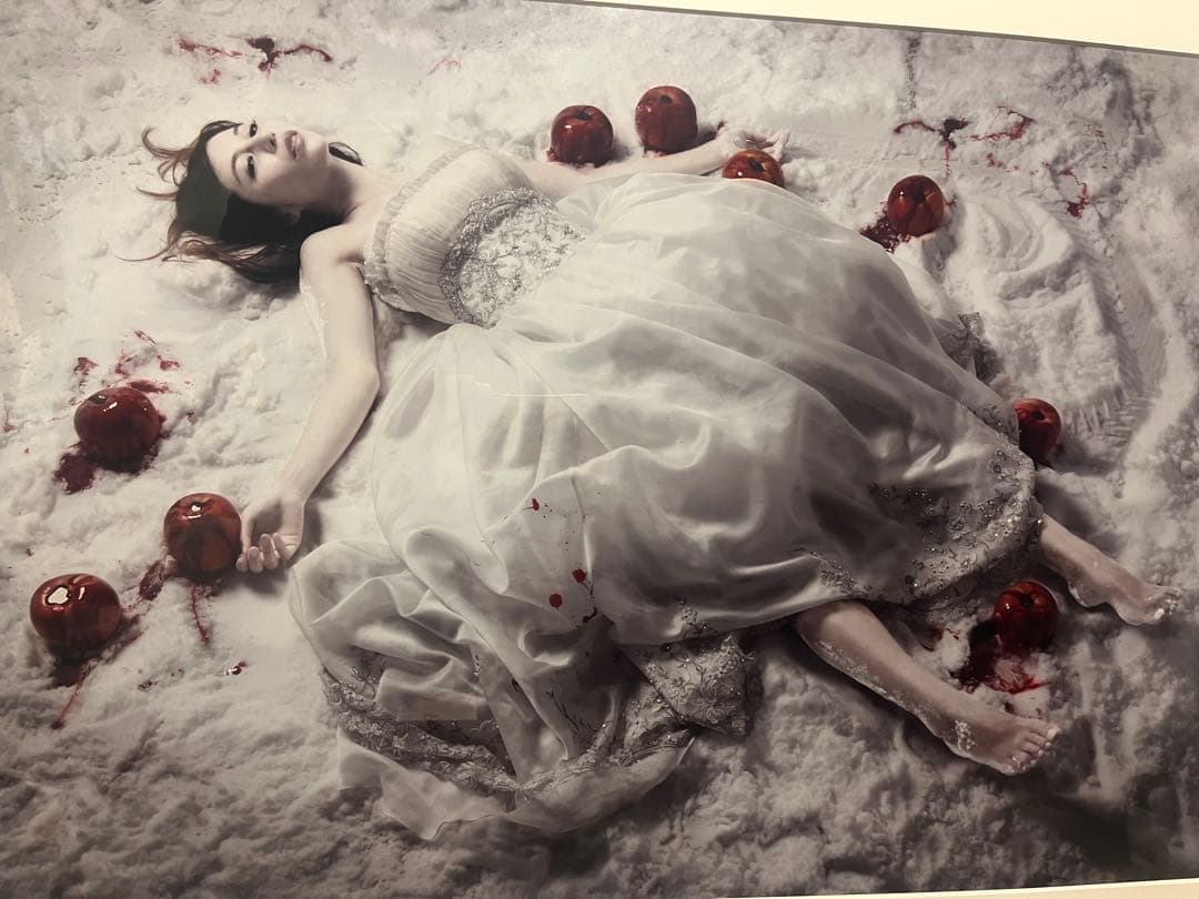 希少【美島菊名 代表作大型作品】