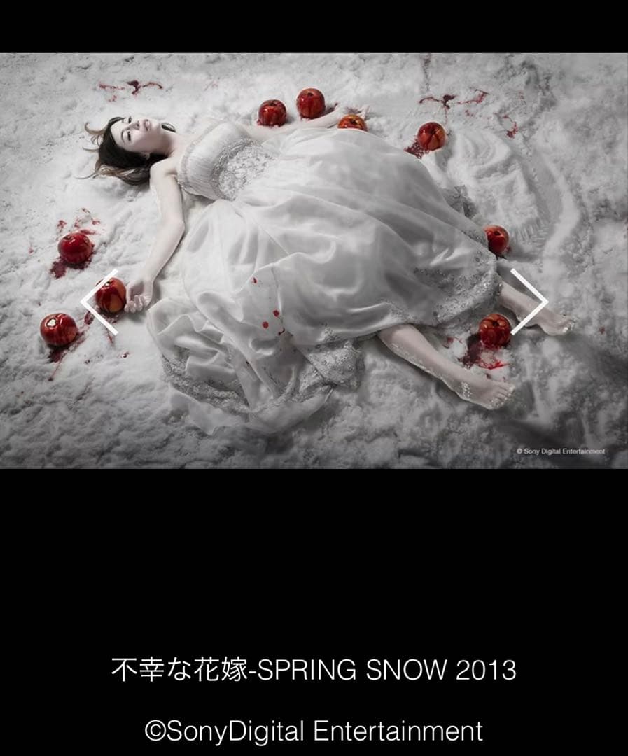 希少【美島菊名 代表作大型作品】