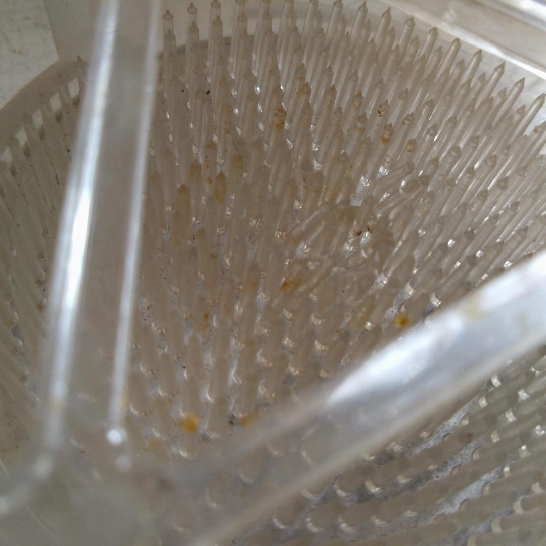 嵯峨三宝　剣山　まとめて